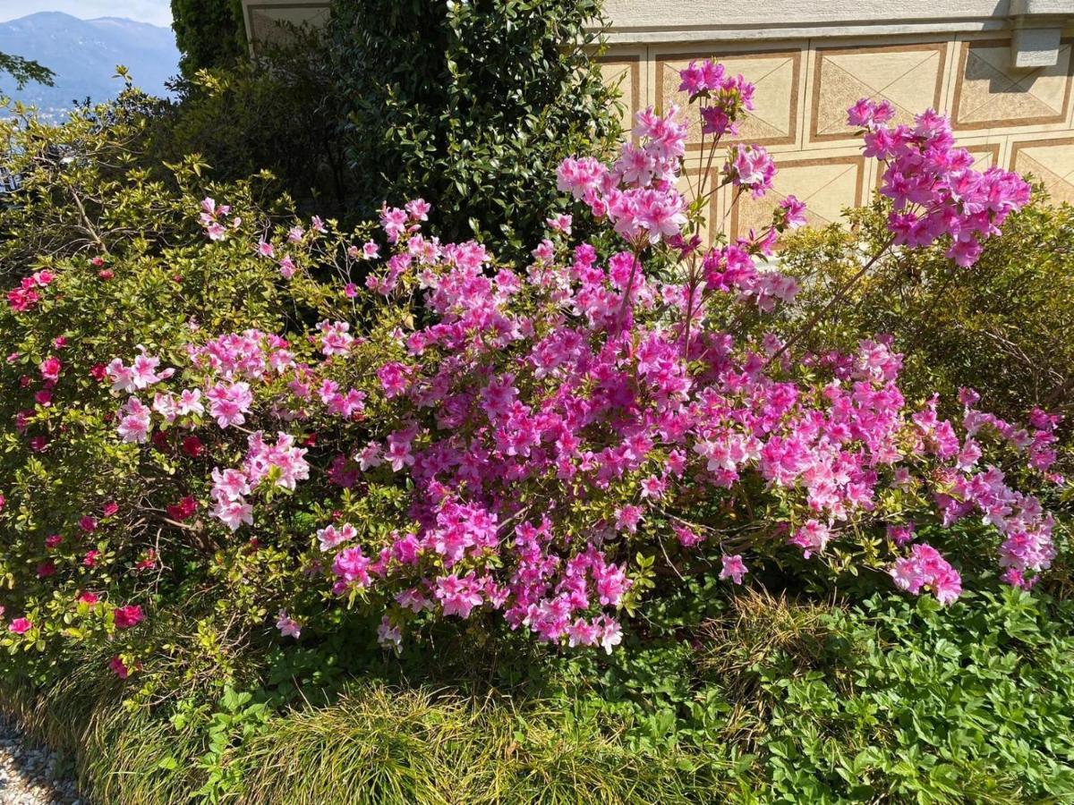Villino Tarlarini Villa Laveno-Mombello Dış mekan fotoğraf